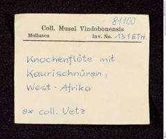 Etikett zu Knochenflöte mit Kauri-schnüren (NHMW-ZOO-MO-0081100-ETH-131)